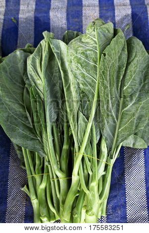 chinese cabbage raw fresh leaf organic natural