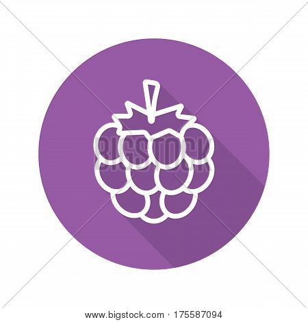Blackberry flat linear long shadow icon. Vector line symbol