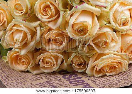 Many natural beatiful beige roses background, sideview