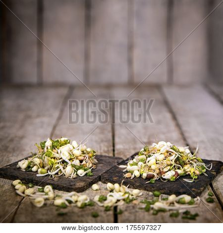mung bean sprouts in front of a wooden rustic background with copyspace