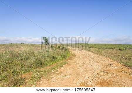 Dirty Road To Fortaleza Canyon