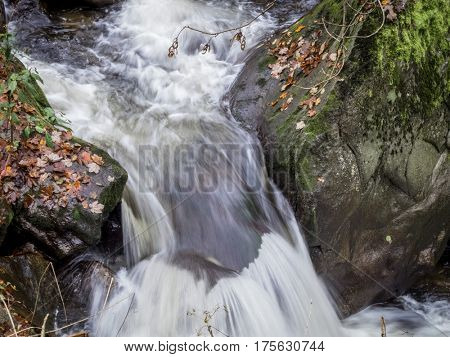 creek with running water