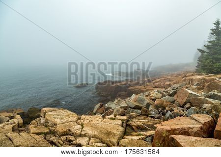 Foggy Morning On Schoodic