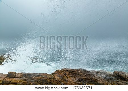 Foggy Morning On Schoodic