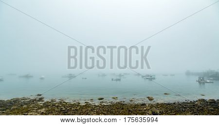 A morning fog lays over the Schoodic Peninsula at Acadia National Park in Maine.