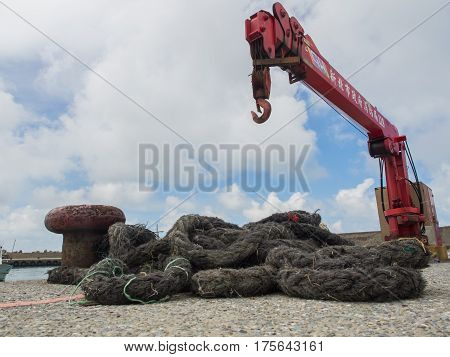 Red Crane