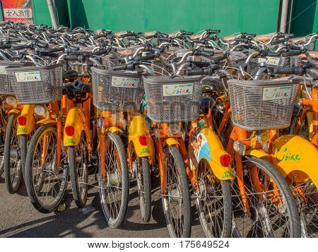 Thousands Of Bikes