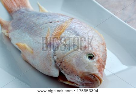 close up from Prepare the Nile tiapia for cook
