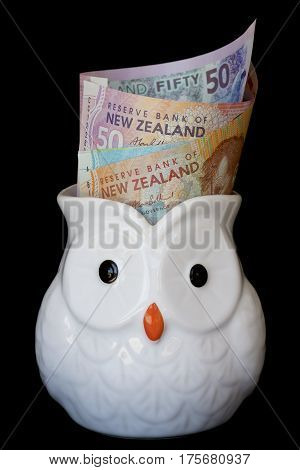 New Zealand dollars in a white owl jug.