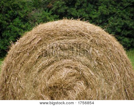Hayroll w pobliżu Treeline