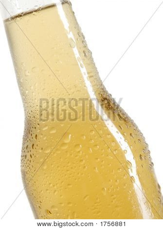 Beer2
