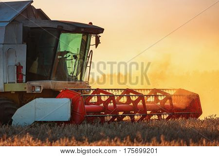Combine harvester agriculture machine harvesting golden ripe wheat field