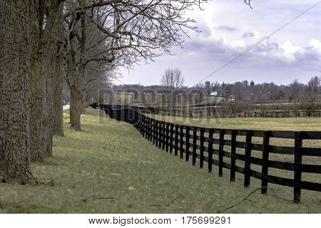 Country landscape with fenceline and trees viewed in perspective in Kentucky horse country