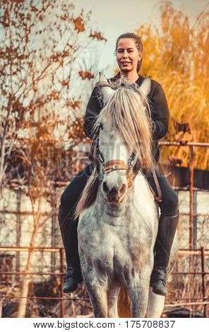 Young beautiful brunette girl rides a horse bareback with hackamore. Warm and sunny autumn day. Portrait of a pretty young woman on the horse, wearing tall boots and gloves.