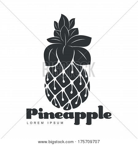 Black and white assymmetric graphic pineapple logo template, vector illustration isolated on white background. Stylized graphic pineapple logotype, logo design