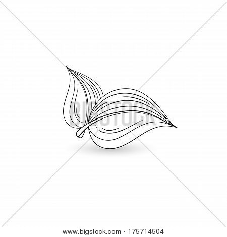 Isolated black leaf. Floral element for design