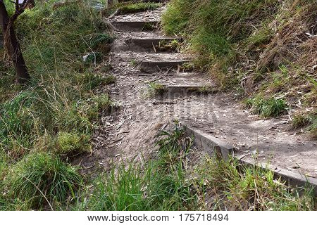 old path with steps through bush lands with shrubs and gum leaves