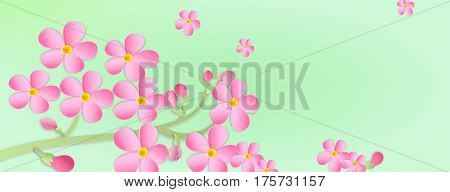 Banner With A Branch Of Cherry Blossoms With Paper Cut. Paper Art Style.flowers On A Green Backgroun
