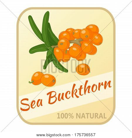 Vintage label with sea buckthorn isolated on white background in simple cartoon style. Vector illustration. Berries Collection.