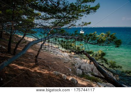photo of Vrgada Island in Dalmatia Croatia