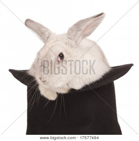 Coniglio dalle lunghe orecchie soffici in top hat su sfondo bianco