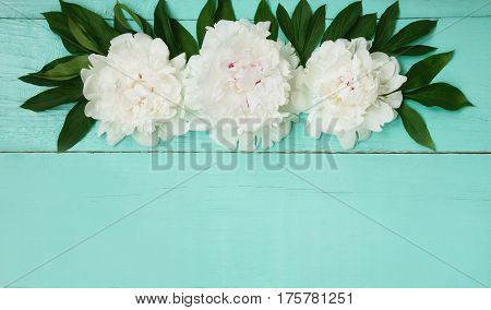 Decorative card with white peonies flowers lying on turquoise wood texture. Beautiful Horizontal background With Copy Space for invitation congratulation. Top view Flat lay