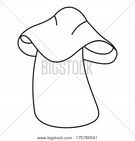 Boletus icon. Outline illustration of boletus vector icon for web