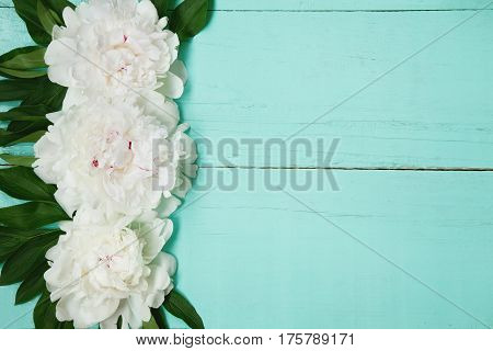 Decorative card with white peonies flowers lying on turquoise wood texture. Beautiful Horizontal background With Copy Space for invitation congratulation. Top view Flat lay