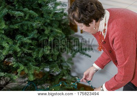 Family decorating beautiful live Christmas tree .