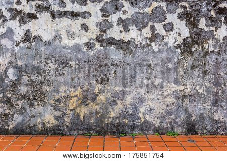 Close up of white wall and Mildewed walls