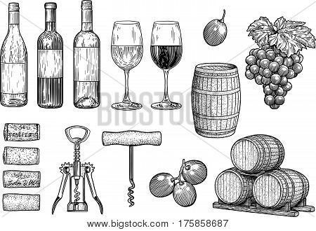 Wine stuff illustration, drawing, engraving, ink, line art