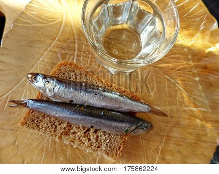 A bread, spicy salting anchovy  and a glass of vodka. Closeup. Gorgeous home appetizer under a glass of vodka. Natural food. Traditional Dishes of Russian Cuisine.