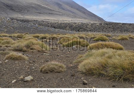 Tongariro Alpine Crossing