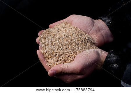 Wheat Bran In Peasant's Hands