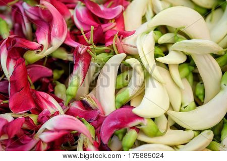 Sesban for sale in local market organic vegetables.