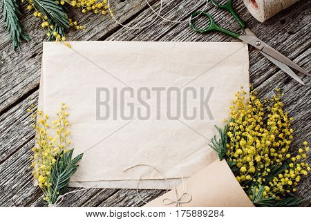 Make bouquet of mimosa. bandages twine and scissors on rustic wooden table, old paper for text. Copy space for text. top view