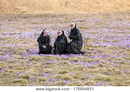 CHOCHOLOWSKA VALLEY, POLAND - MARCH 31, 2016: Nuns on mountain meadow with crocus flowers blooming