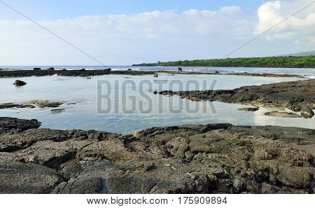 Lava Shoreline At The Puuhonua O Honaunau Place Of Refuge National Park, Hawaii