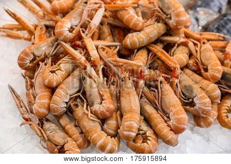 Freshly caught scampi or Norway lobster, Nephrops norvegicus on the counter with ice at the greek fish market for sale. Horizontal. Close up. Selective focus.