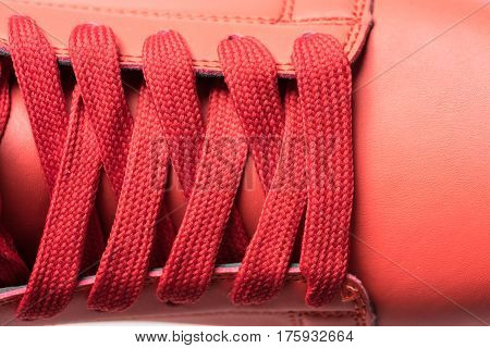 Fashion shoes with shoestring. Red sneaker and shoelace isolated on white background