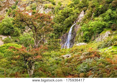 View of Aber Falls in Showdonia National Park