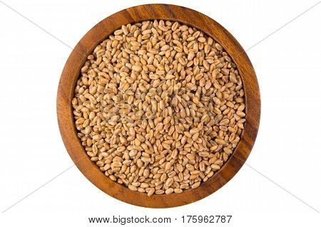 Wheat Grain In Bowl