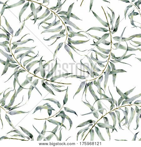 Watercolor pattern with eucalyptus. Hand painted ornament with branches with leaves isolated on white background. Natural print for design, fabric