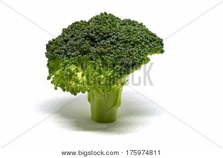 a fresh broccoli isolated on white background