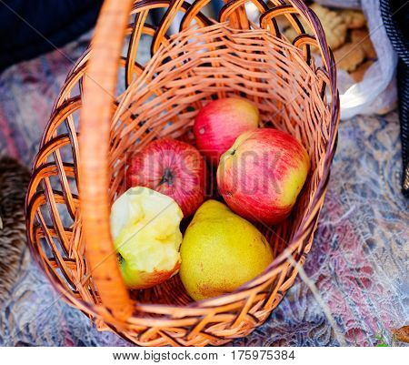gardening harvesting and people concept - close up of wicker basket with ripe red apples at autumn garden