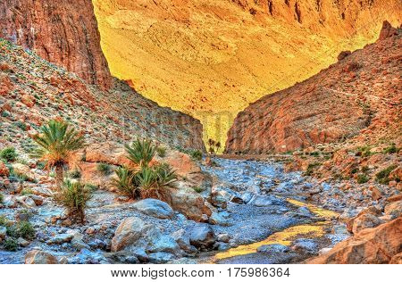 Todgha Gorge, a canyon in the High Atlas Mountains in Morocco