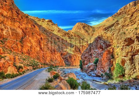 Todgha Gorge, a canyon in the High Atlas Mountains in Morocco