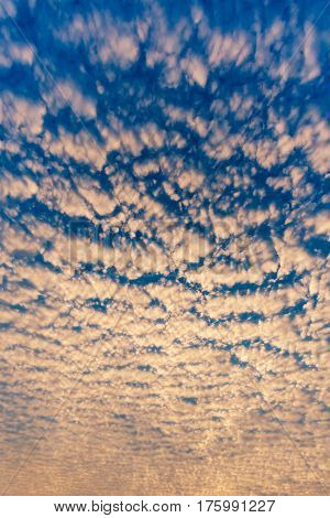 Cloudscape with altocumulus clouds Altocumulus middle-altitude cloud in stratocumuliform - natural background