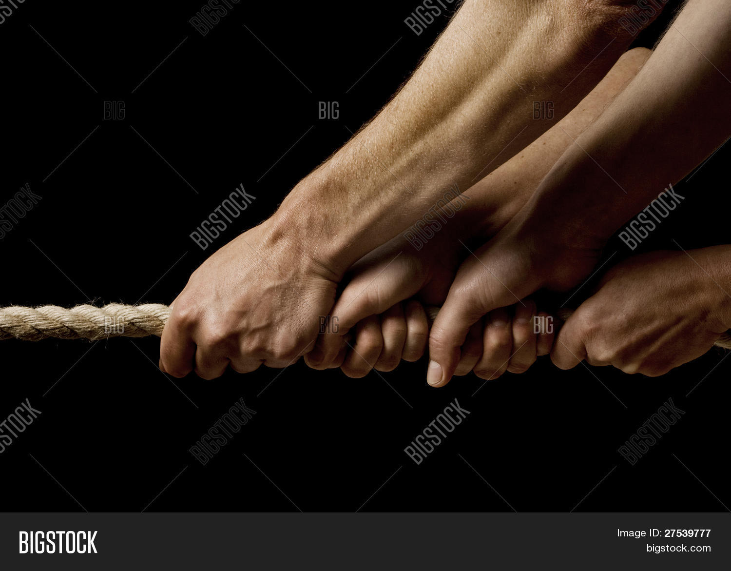 Four Hands Pulling On Image & Photo (Free Trial) Bigstock