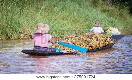 Women Rowing A Dugout Canoe In Inle Lake, Myanmar.